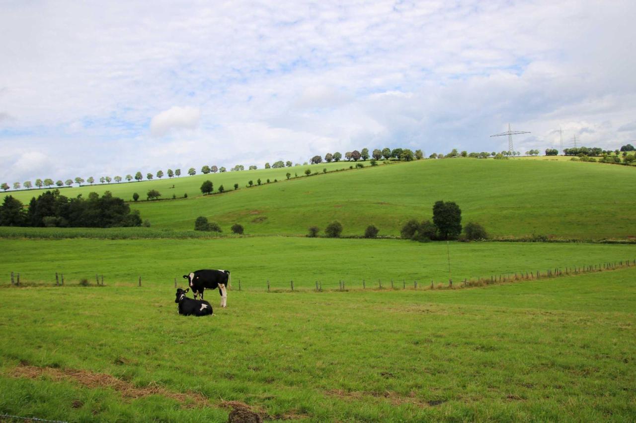 Ferienhaus Eifelnest Scheid  ภายนอก รูปภาพ