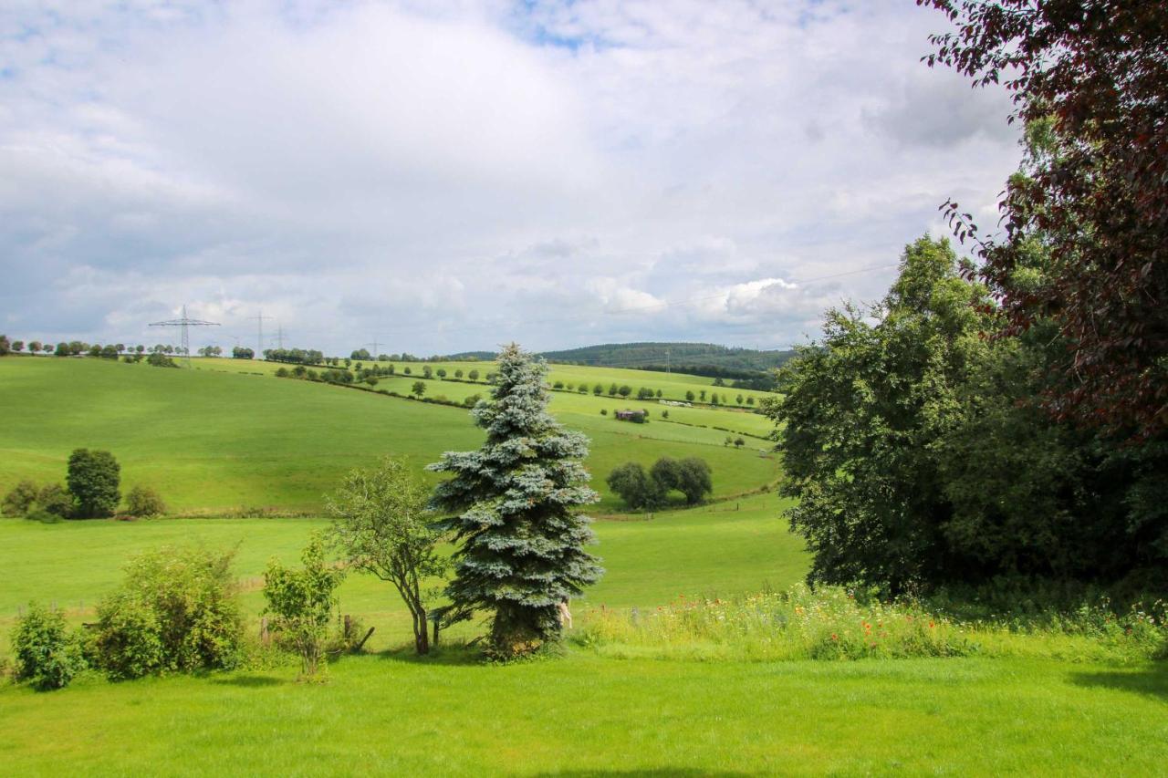 Ferienhaus Eifelnest Scheid  ภายนอก รูปภาพ