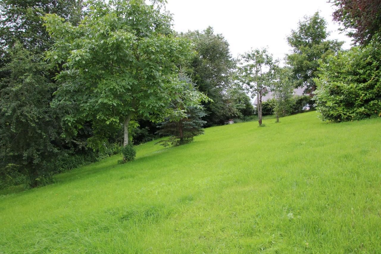 Ferienhaus Eifelnest Scheid  ภายนอก รูปภาพ